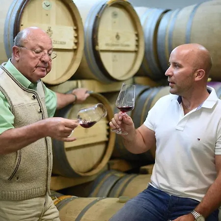 Weingut Und Gaestehaus Zilliken Hotel Nittel