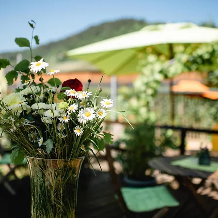 Weingut Und Gaestehaus Zilliken Hotel *