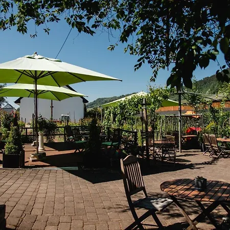 Weingut Und Gaestehaus Zilliken Hotel Nittel