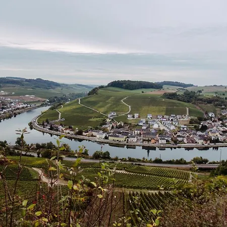 Weingut Und Gaestehaus Zilliken Hotel Nittel