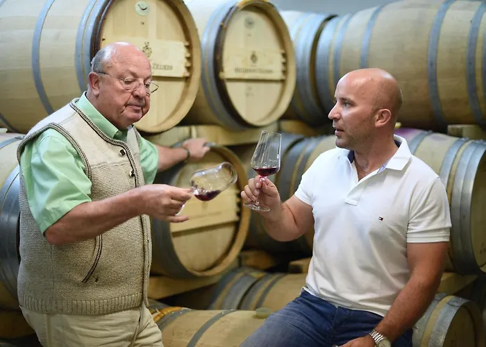 Weingut Und Gaestehaus Zilliken Ξενοδοχείο Nittel