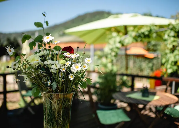 Weingut Und Gaestehaus Zilliken Ξενοδοχείο *