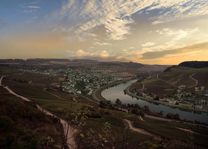 Weingut Und Gaestehaus Zilliken 尼特尔