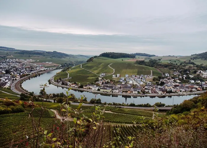 Weingut Und Gaestehaus Zilliken Hotel Nittel